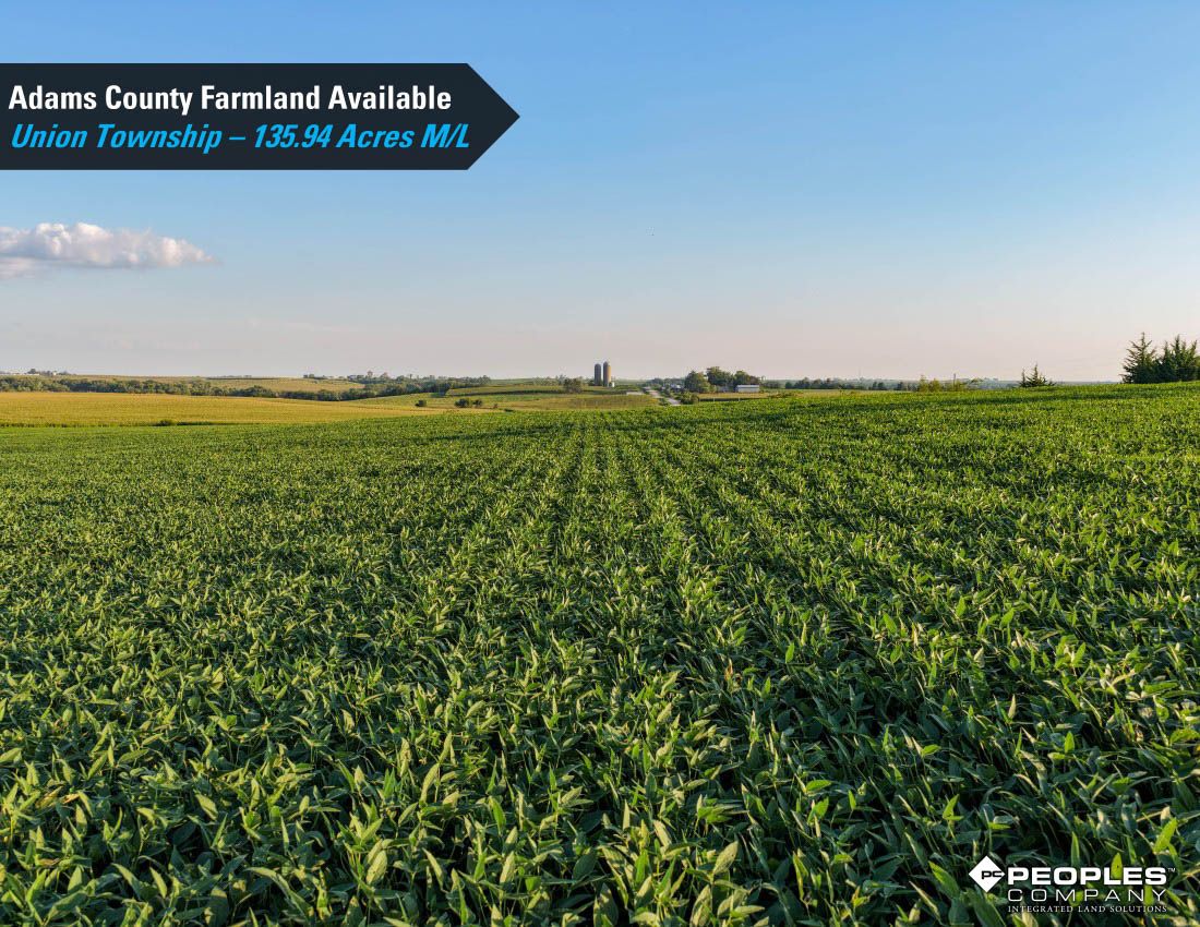 Listing Photo: Adams-County-Iowa-Farmland-Available-136-Acres-Blazek-Estate-19707 (8)